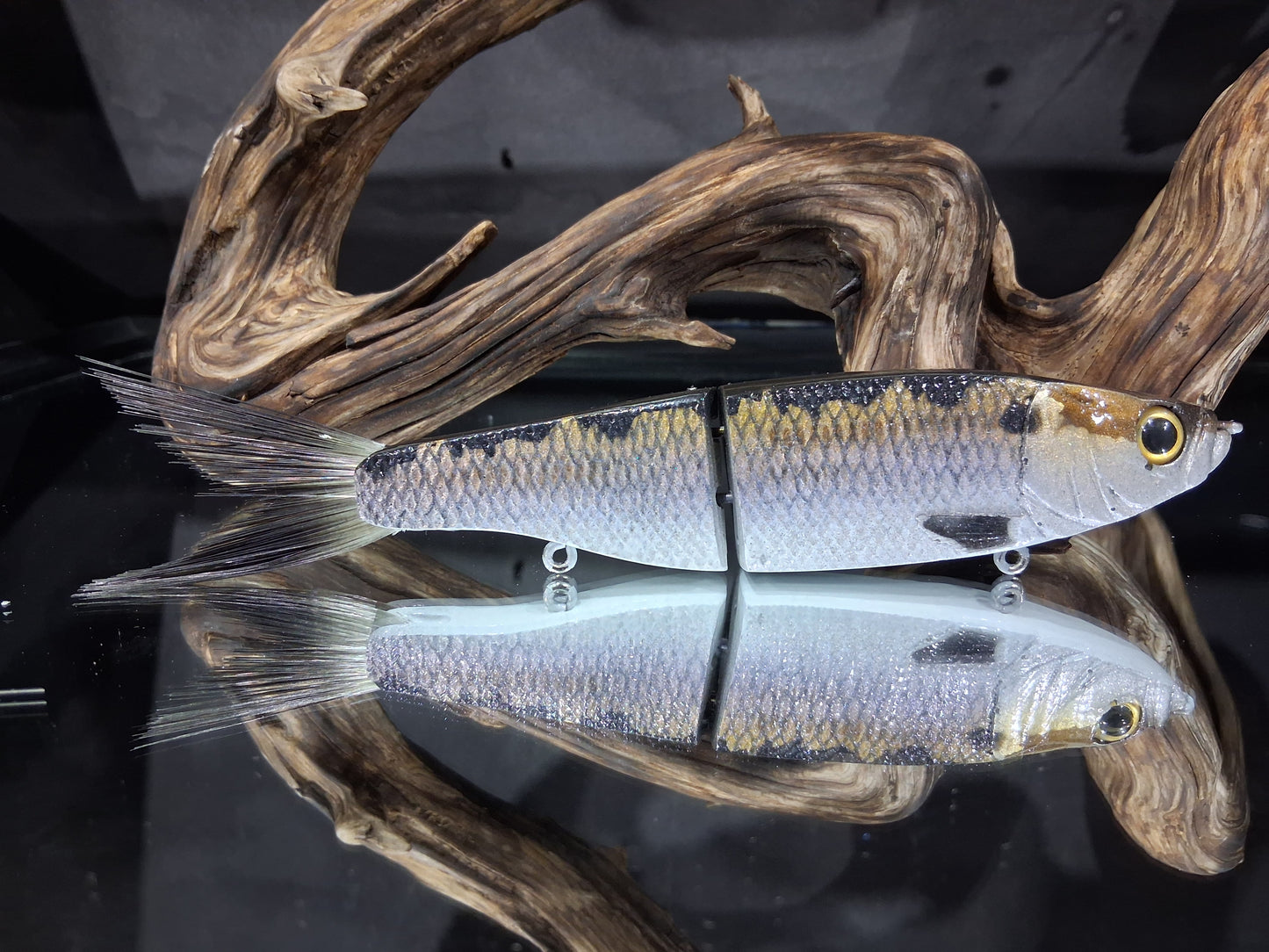 KGB Herring "Midwest"