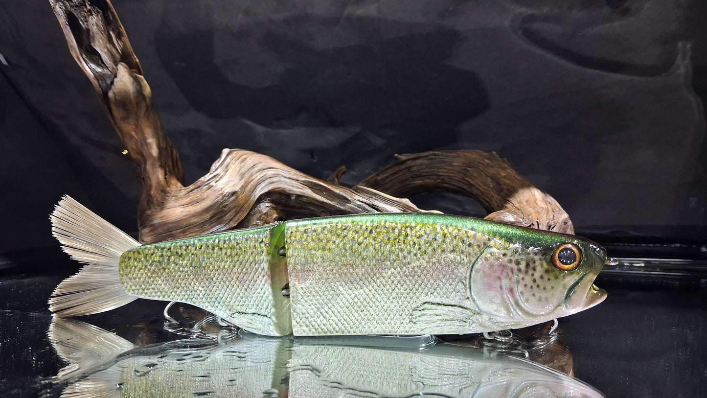 KGB Trout "Acid Bow"