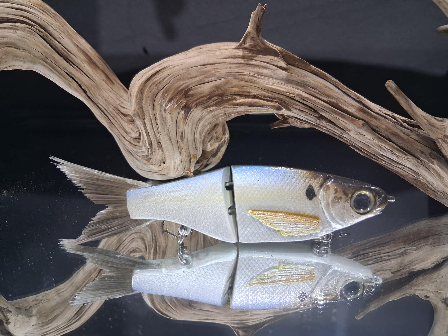 KGB 5" Resin ChadShad "Threadfin"