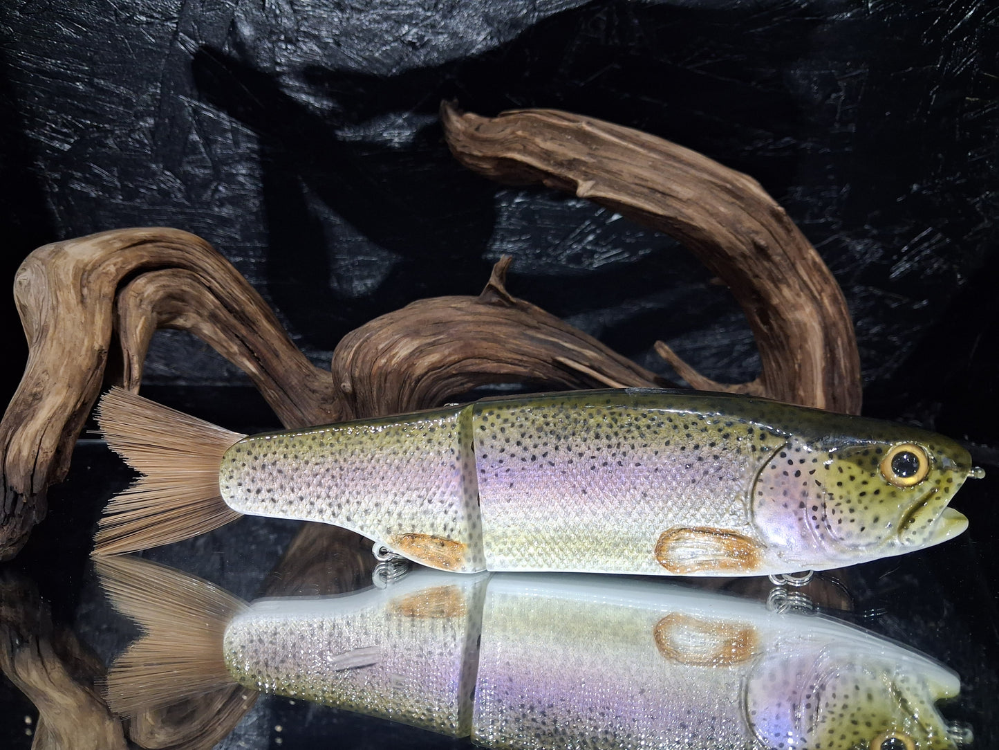 KGB Trout "CC Rainbow"