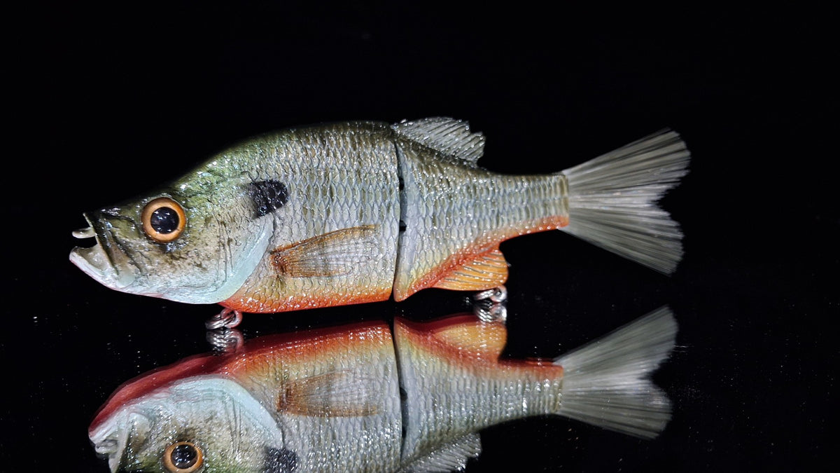KGB OG 8" Crappie "CC Redbreast"