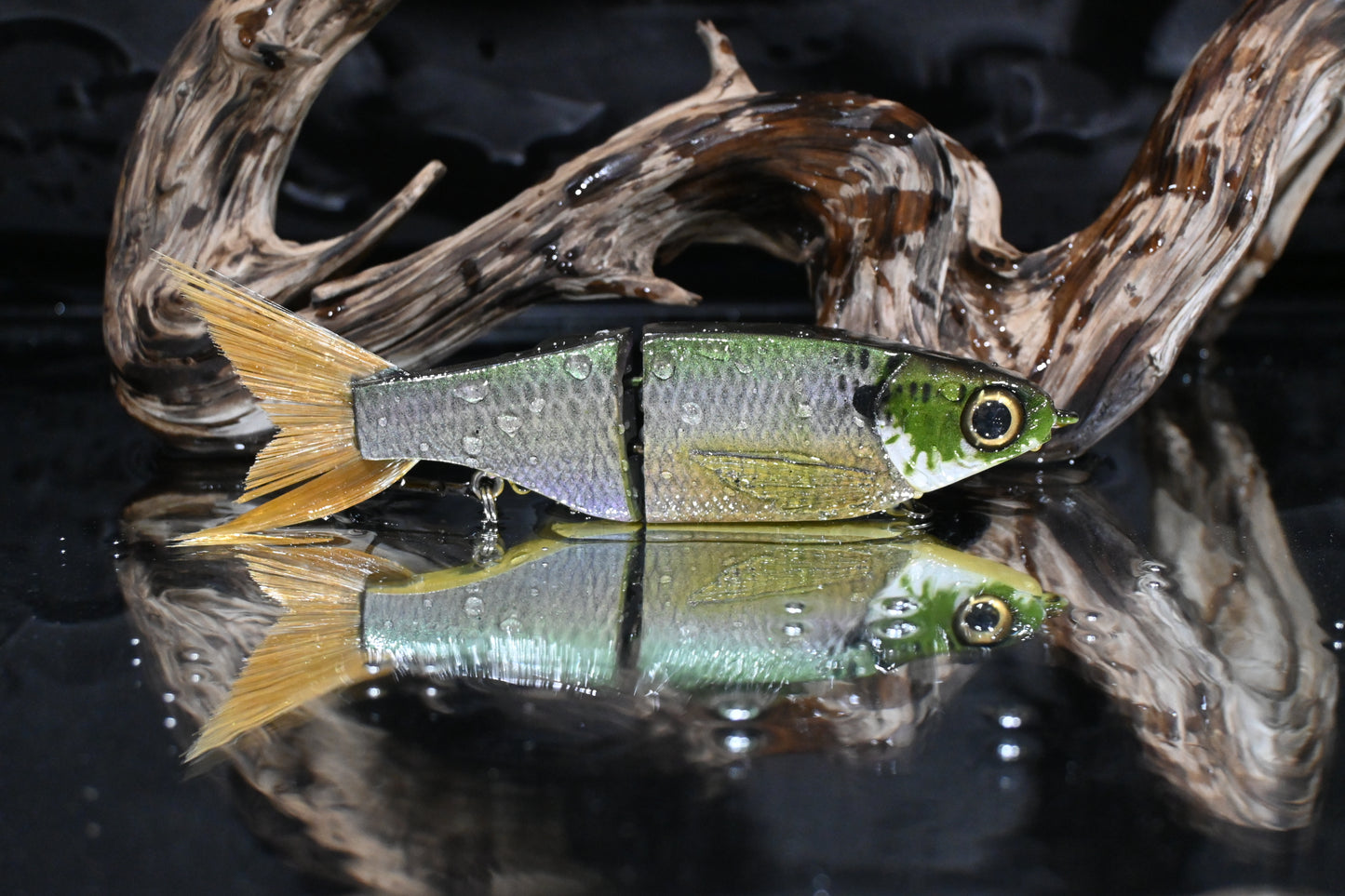 KGB Resin ChadShad "Saucy Sunfish"