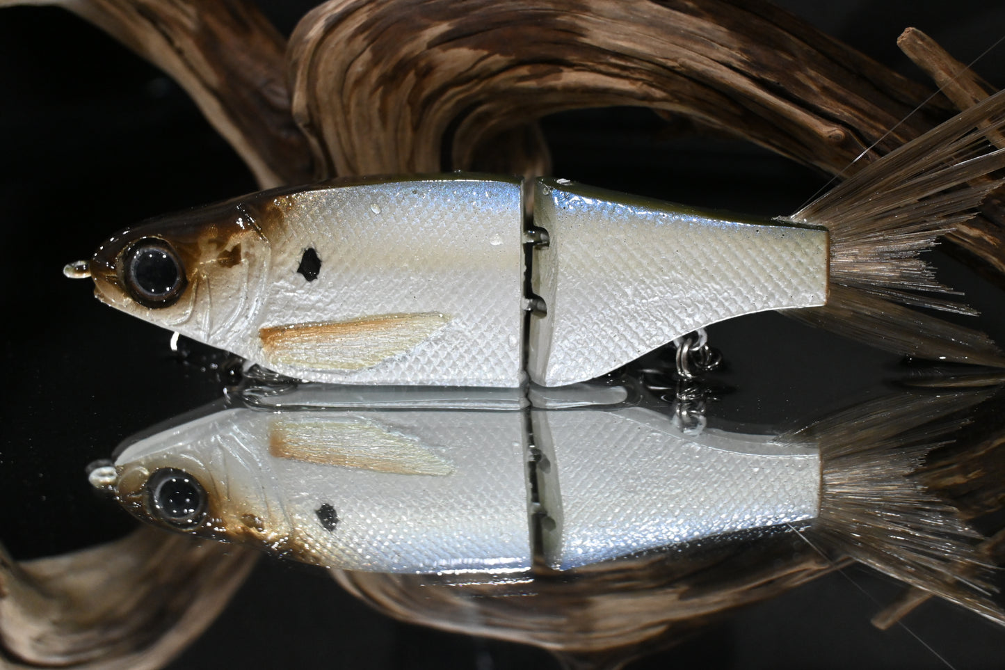 KGB Resin ChadShad "Threadfin"