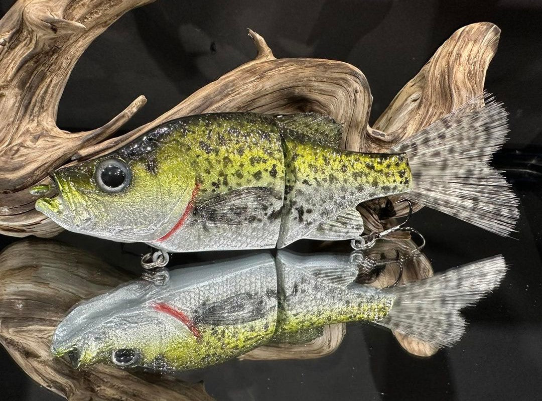 KGB Crappie