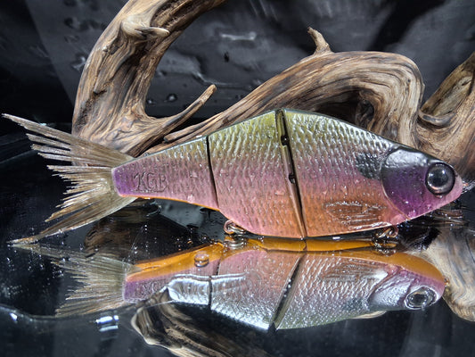 KGB Professor "Purple Gill"