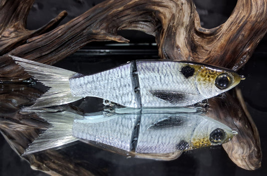 KGB 5" Resin ChadShad "PPP Gizzard"