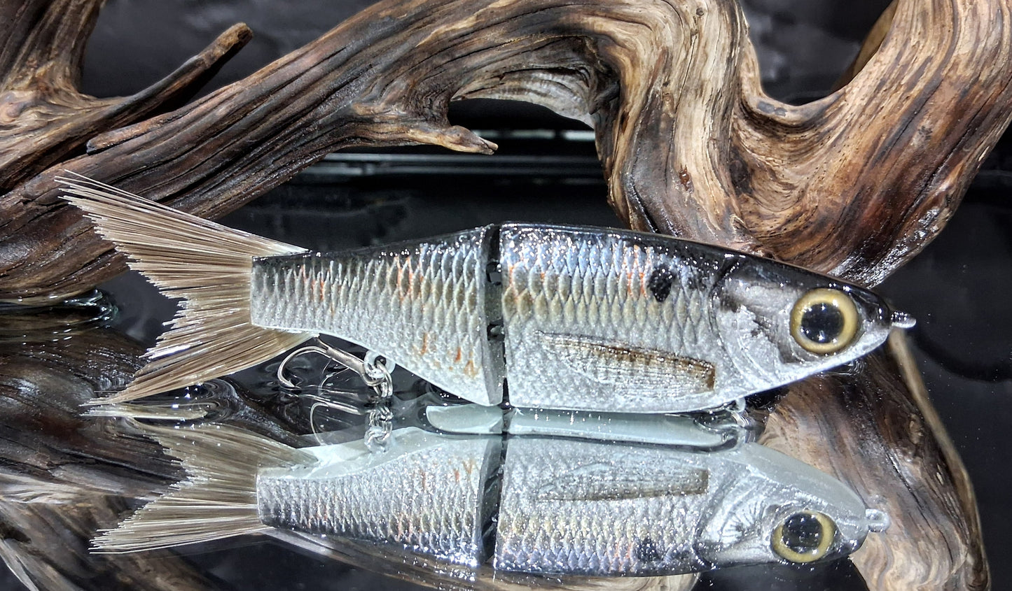 KGB 5" Resin ChadShad "CC Gizzard"