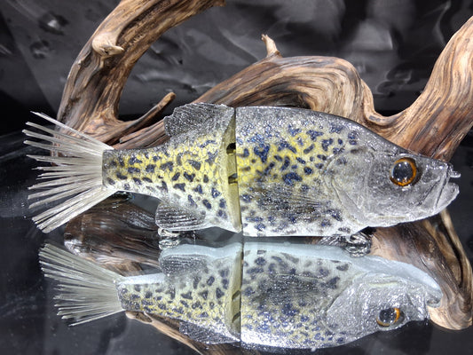 KGB Crappie "DB Black Crappie"