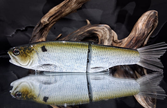 KGB Trout "Tennessee Shad"