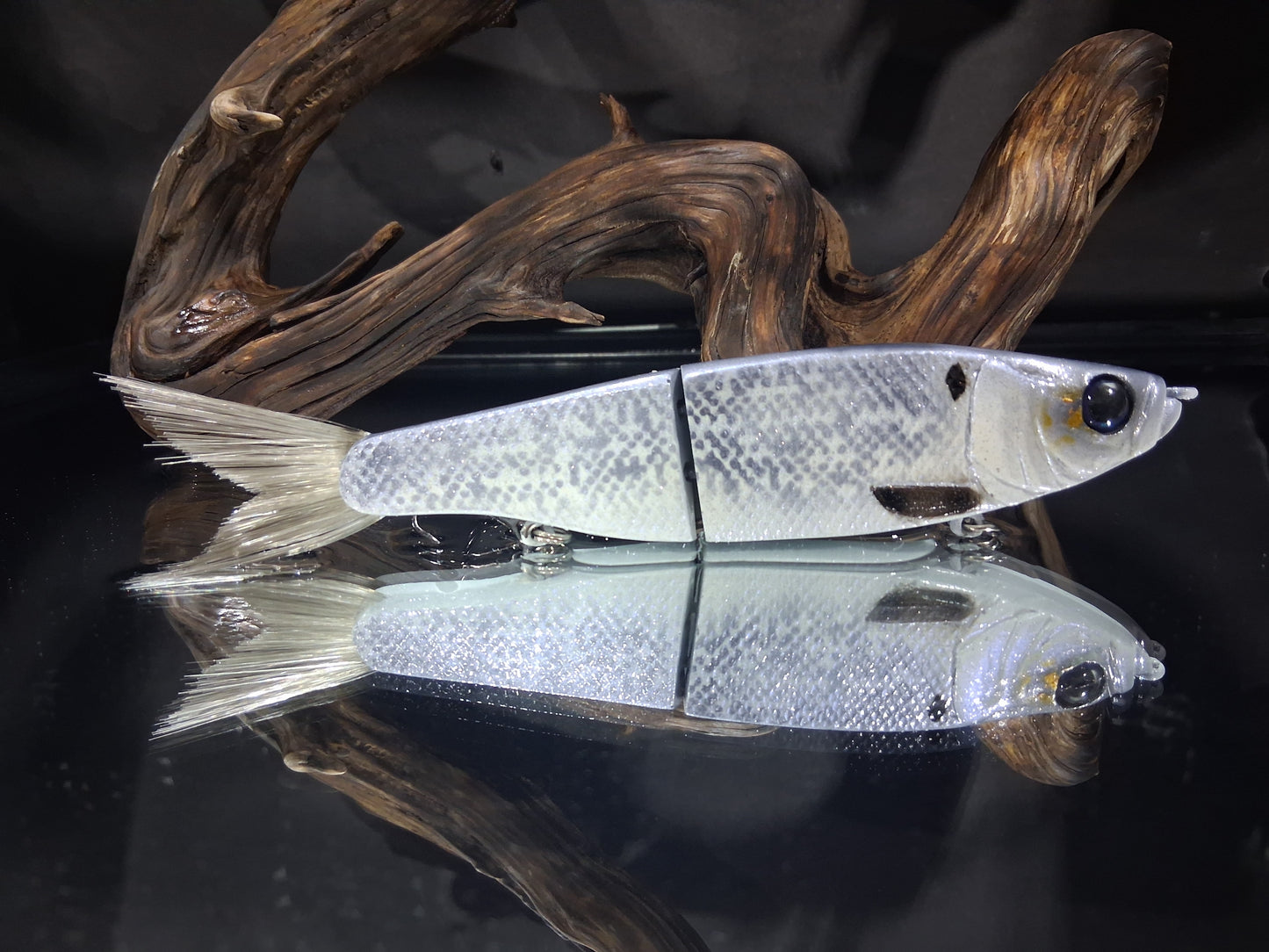 KGB Herring "DB Blueback"