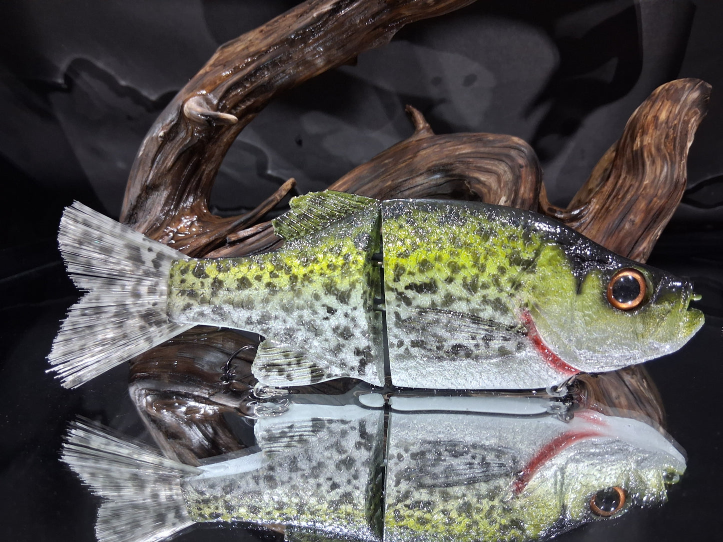 KGB Crappie "CC Crispy Crappie"