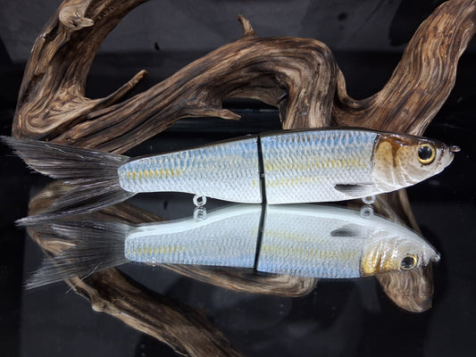 KGB Herring "Sexy Smelt"