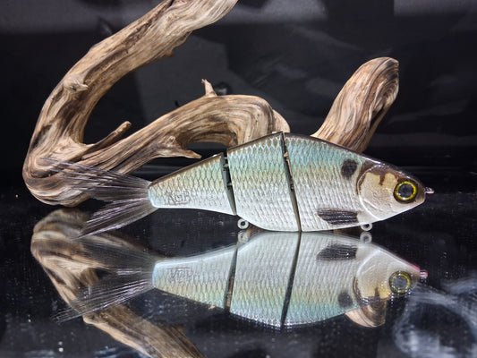 Leurre KGB PROFESSOR Golden Shiner 7 Pouces - Swimbait Résine - Édition Limitée