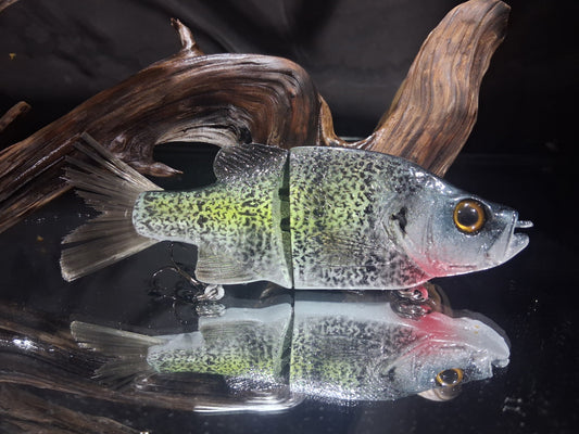 KGB 6" Mini Crappie "DB Highland"