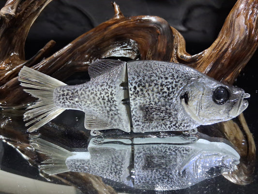 KGB 6" Mini Crappie "Silver Slab"