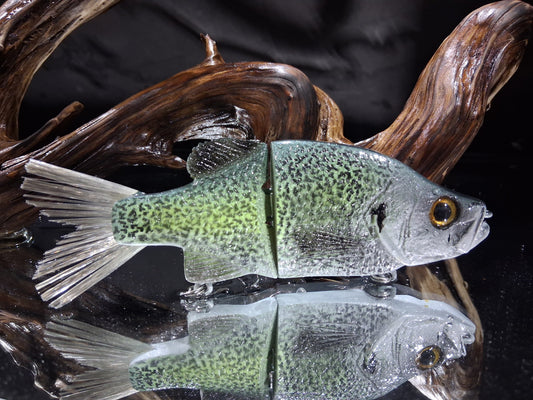 KGB 6" Mini Crappie "DB Chart Slab"