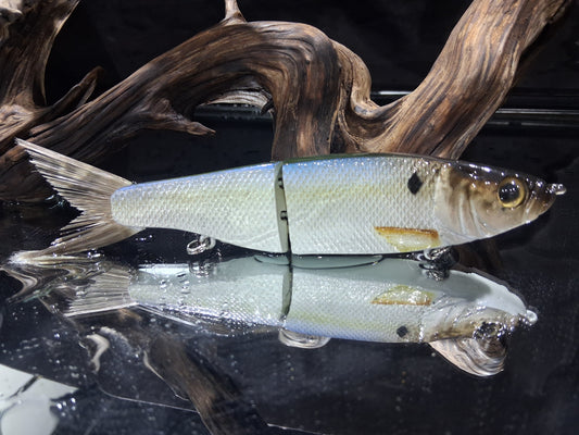 KGB Herring "CC Threadfin"