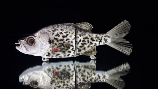 KGB 6" Mini Crappie "DB Black Slab"