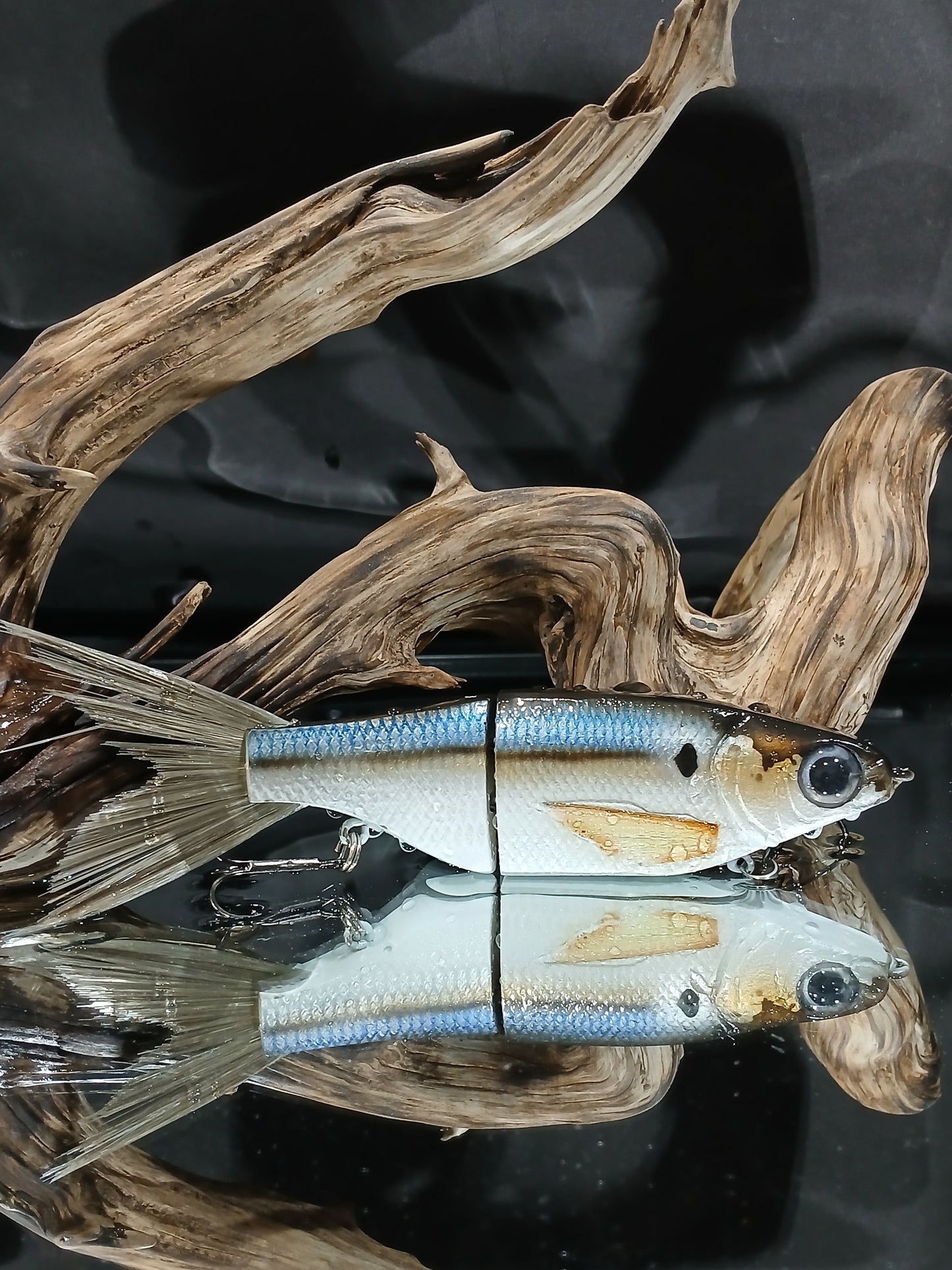 KGB Resin ChadShad "Fantastic Shad"