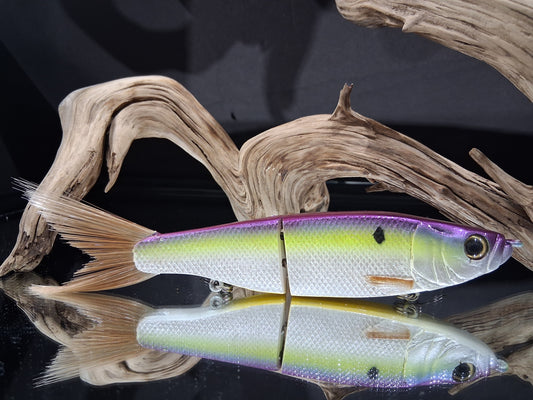 KGB Herring "CC Joker"