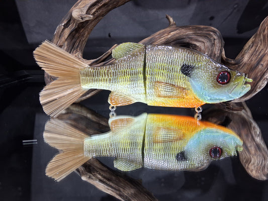 KGB OG Crappie "Blonde Gill"