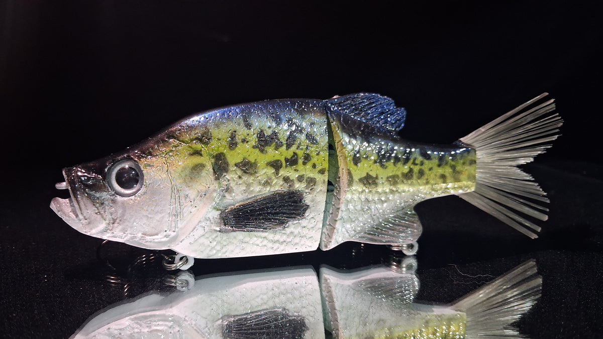 KGB 8" OG Crappie "Maybee's Customs Sexy Slab"