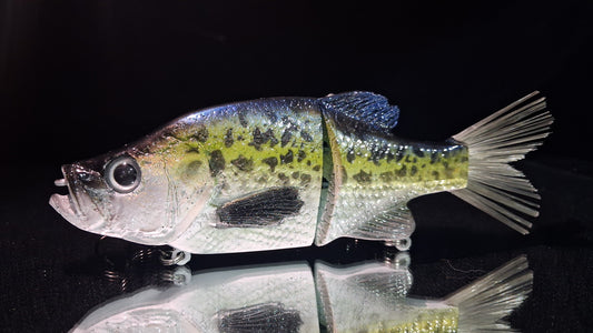 KGB 8" OG Crappie "Maybee's Customs Sexy Slab"