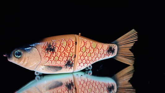 KGB Carp "MC Custom Koi" ***Drop at 12PM CST Thursday the 15th***