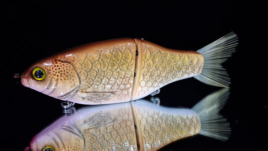 KGB Carp "Sunrise" ***Drop at 12PM CST Thursday the 15th***