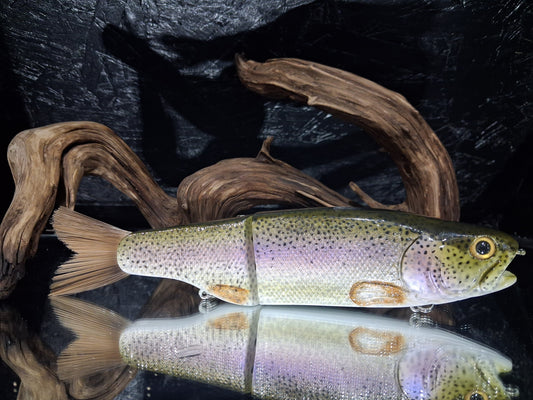KGB Trout "CC Rainbow"