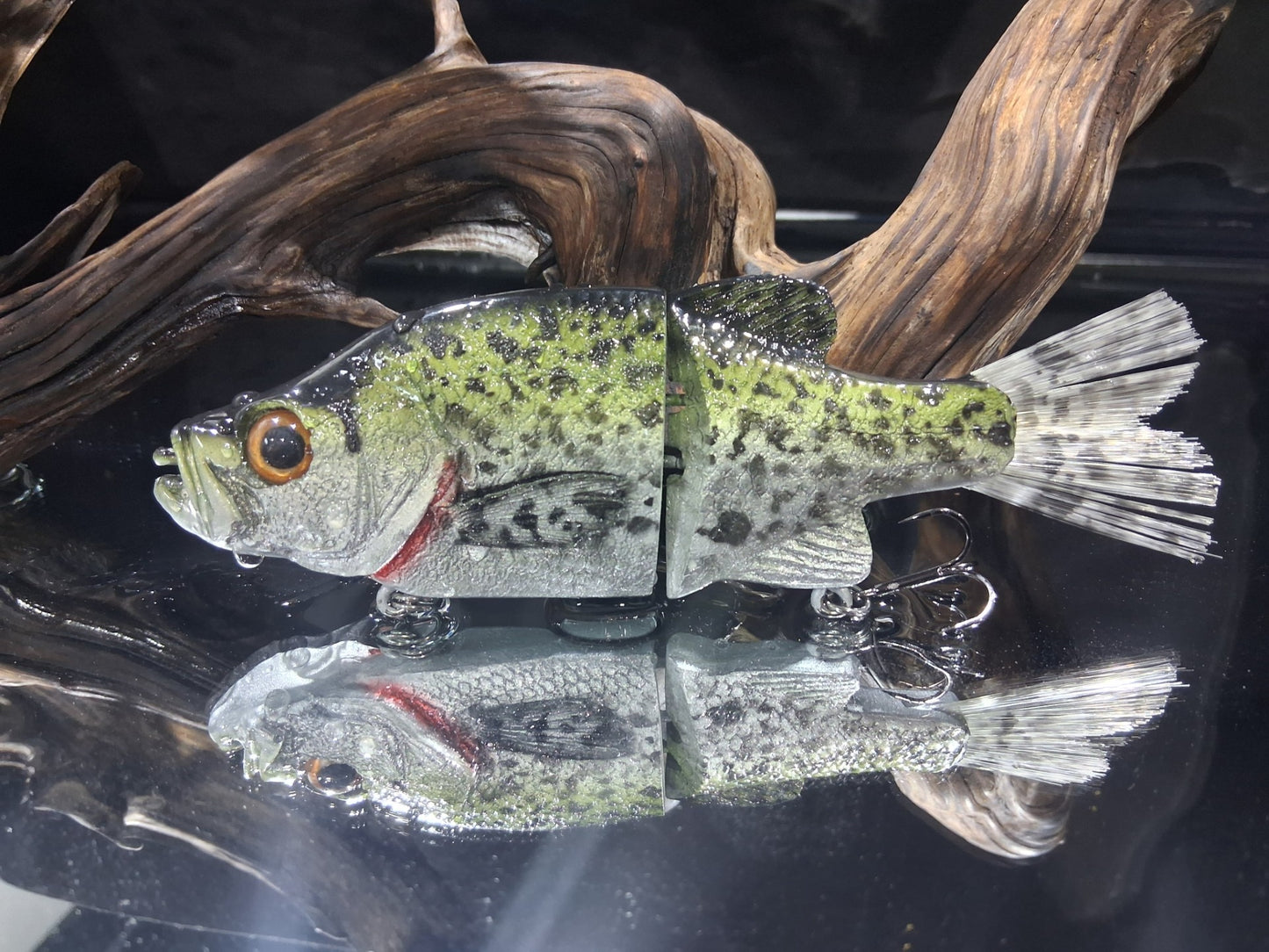 KGB 6" Mini Crappie "CC Crispy Crappie"