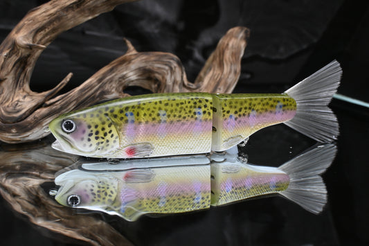 KGB Trout "Dave's Bow"