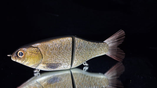 KGB Carp "Grass Carp"