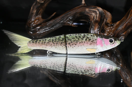 KGB Herring "PPP Trout"