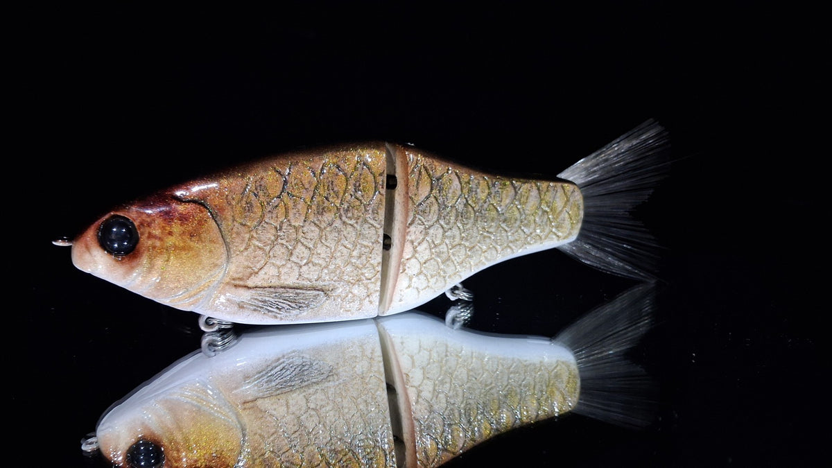 KGB Carp "Honeysucker"
