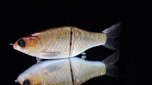KGB Carp "Honeysucker"