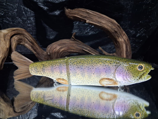 KGB Trout "CC Juvie Bow"