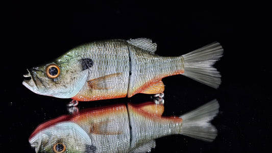KGB OG 8" Crappie "CC Redbreast"