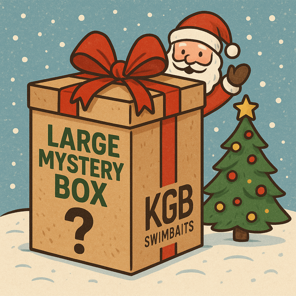 Holiday Mystery Box Large