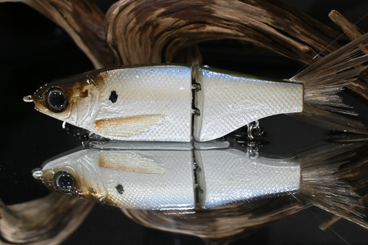 KGB Resin ChadShad "Threadfin"